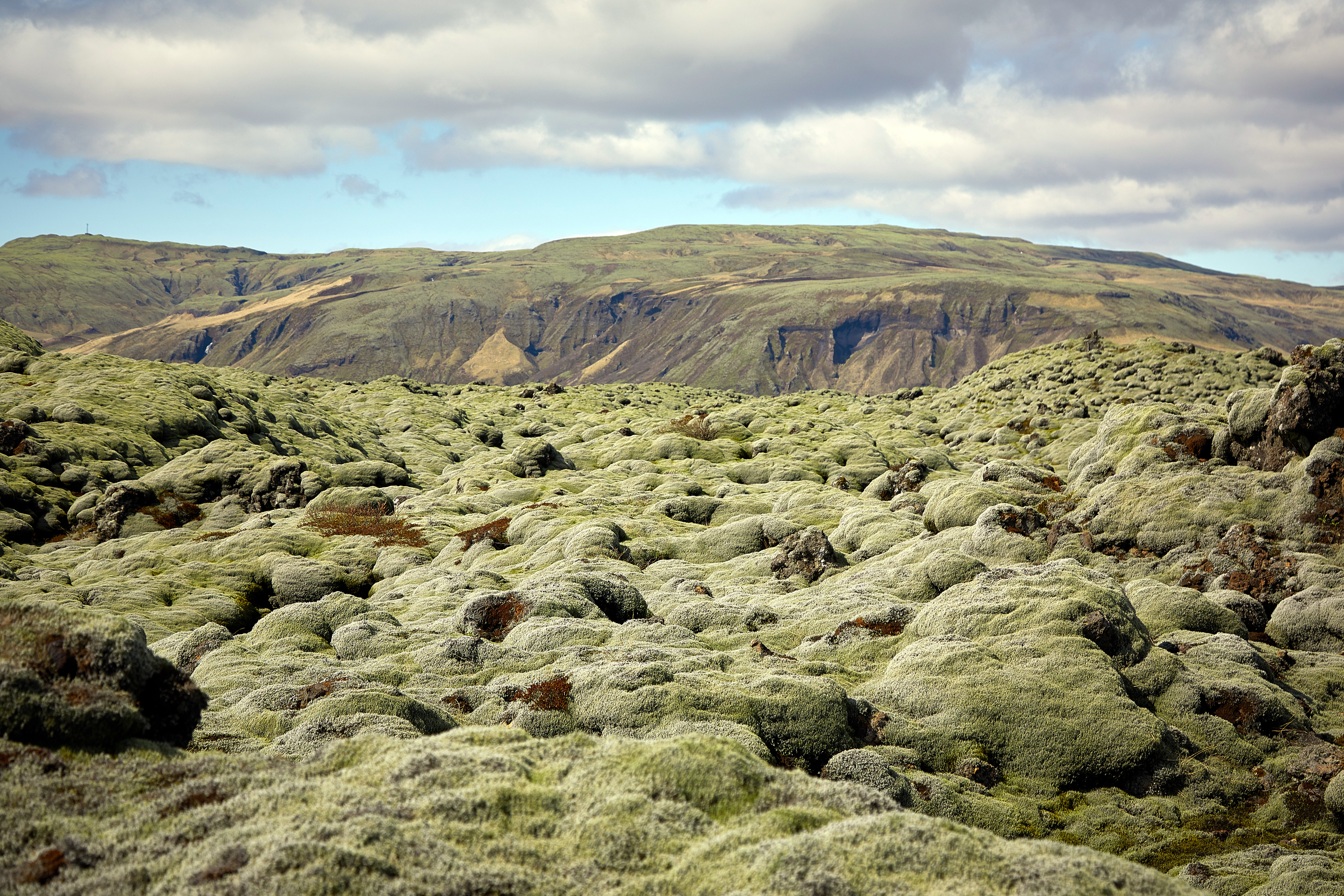 20190504 Lava Feld 010